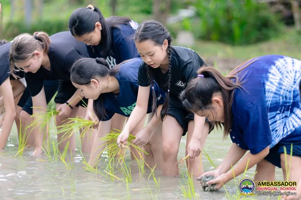 ABS Grade 6 Field Trip 2026